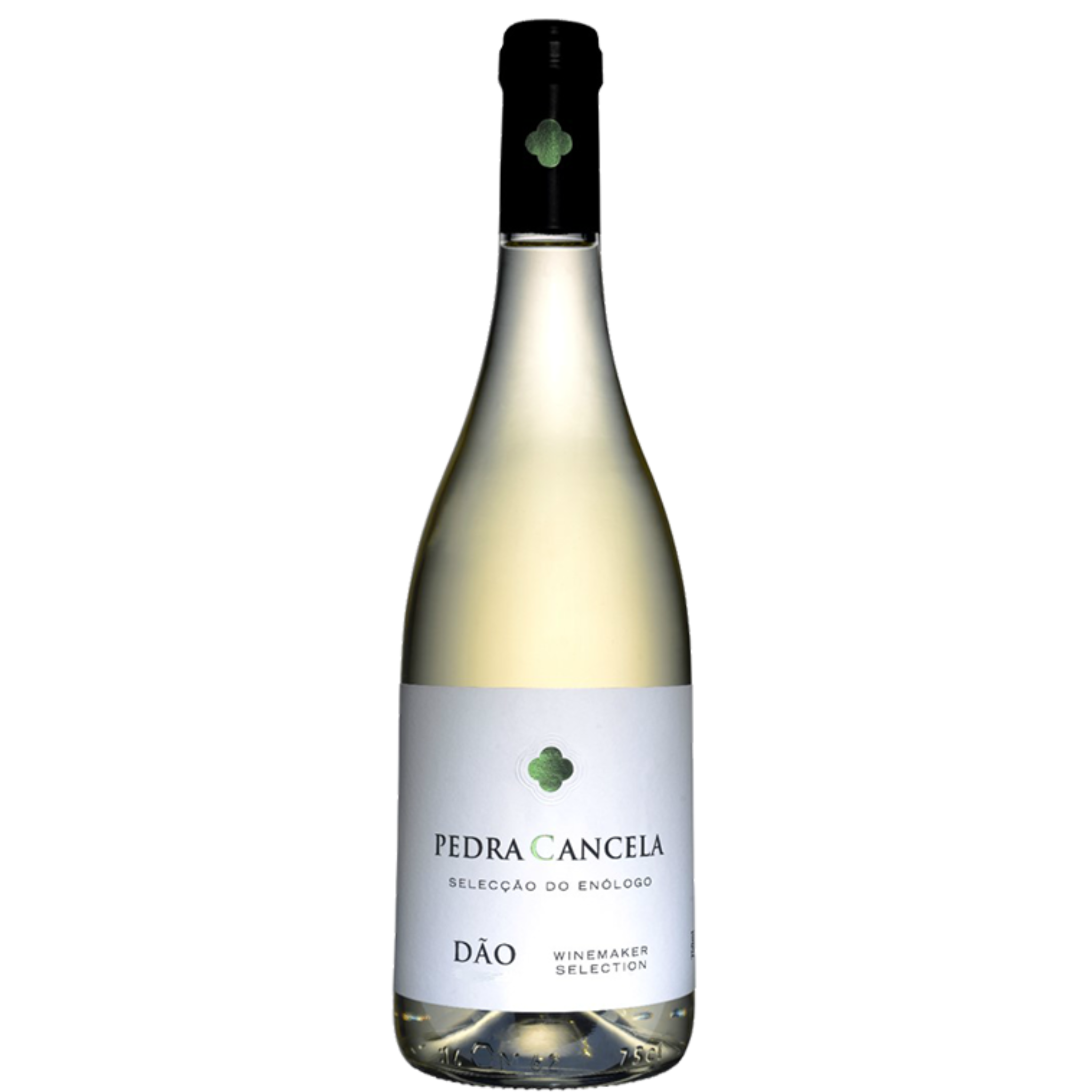 Vinho Branco Seco Pedra Cancela Seleção do Enólogo - SP VINO