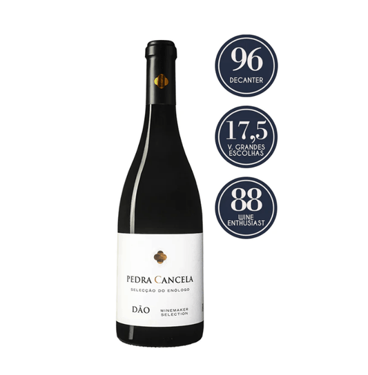 Vinho Tinto Pedra Cancela Seleção do Enólogo - SP VINO